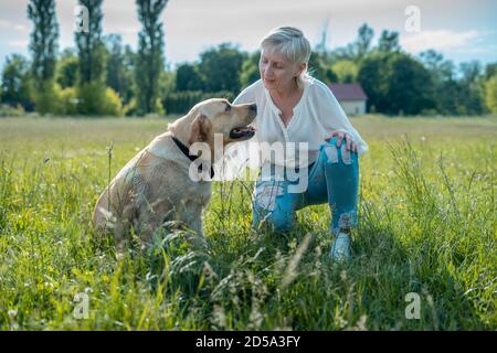 Glückliche ältere Frau spielen mit labrador Retriever Hund in sonnig Sommerpark Stockfoto