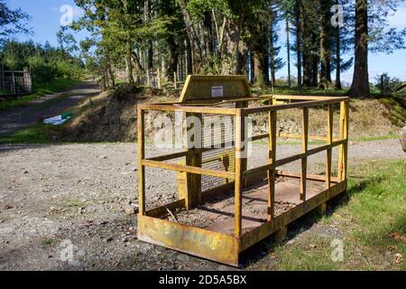 Cherry Picker Cradle, wird in der Waldbewirtschaftung verwendet Stockfoto