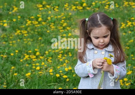 Kleines Mädchen auf dem Rasen mit gelben Löwenzahn. Speicherplatz kopieren. Stockfoto