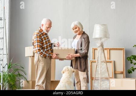 Ältere Paar hält Karton und Blick auf Hund, Bewegungs-Konzept Stockfoto