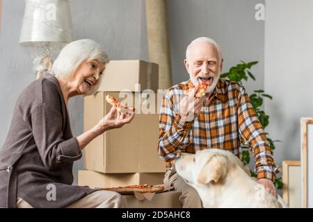 Lachende ältere Pärchen essen Pizza im neuen Haus und Hund Sitzen in der Nähe Stockfoto