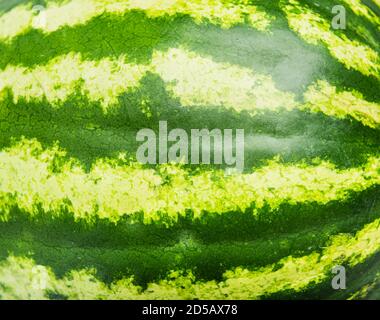 Gestreifte Kruste aus Wassermelone, Hintergrund Stockfoto