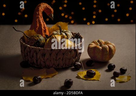 Herbst - eine volle Schüssel mit verschiedenen Kürbissen, Kastanien und Zapfen auf einem Tisch, und auf einem schwarzen Hintergrund mit Lichtern Stockfoto