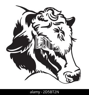 Dekorative Porträt von flauschigen Kuh Porträt Vektor-Illustration in schwarzer Farbe isoliert auf weißem Hintergrund. Gravur Vorlage Bild von Stier für Etikett Stock Vektor