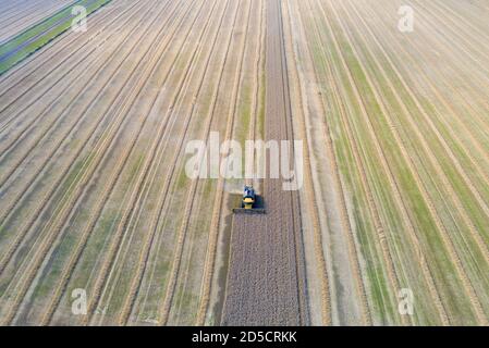 Mähdrescher Ernte der Weizen auf einem Feld, Jütland, Dänemark. Stockfoto