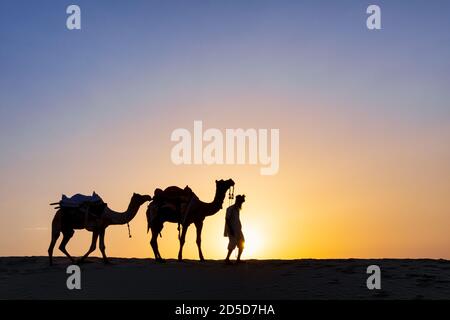 Silhouette der Mann mit seinem Kamele, Wüste Thar, Rajasthan, Indien Stockfoto