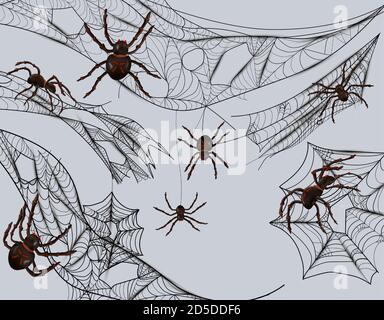 Sammlung von Spinnweben zum Fang von Insekten. Spinnennetz und Spinnen isoliert auf grauem Hintergrund. Kompliziertes Spinnennetz, halloween-Konzept. 3d-Vektordarstellung. Stock Vektor