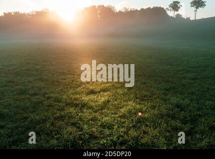 Die wärmende Sonne scheint morgens durch den Bodennebel über einer hügeligen Wiese. Stockfoto