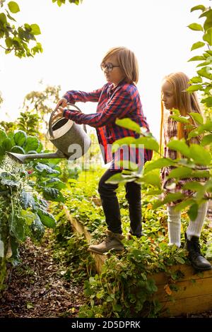 Vitamine. Glücklicher Bruder und Schwester Pflanzen in einem Garten im Freien zusammen gießen. Liebe, Familie, Lifestyle, Ernte, Herbstkonzept. Fröhlich, gesund und schön. Bio-Lebensmittel, Landwirtschaft, Gartenarbeit. Stockfoto