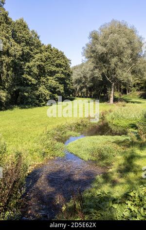 Der Säugling River Windrush in Barton in der Nähe des Cotswold-Dorfes Guiting Power, Gloucestershire, Großbritannien Stockfoto