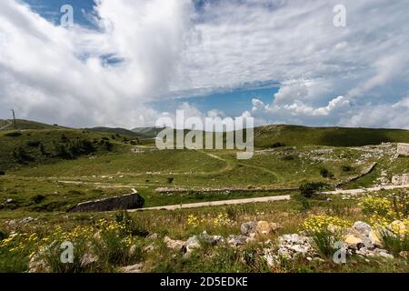 Monte Baldo (Baldo-Berg), Rücken von Naole. Gebirgskette zwischen Gardasee und Etschtal. Grüne Wiesen, Italienische Alpen, Provinz Verona, Italien. Stockfoto