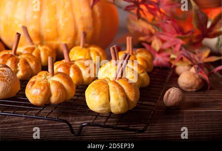 Kürbisbrötchen auf dem Backblech. Herbstkonzept Stockfoto