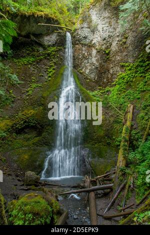 Blick auf die Marymere Falls auf der Olympic Peninsula im Olympic National Park im Bundesstaat Washington, USA. Stockfoto