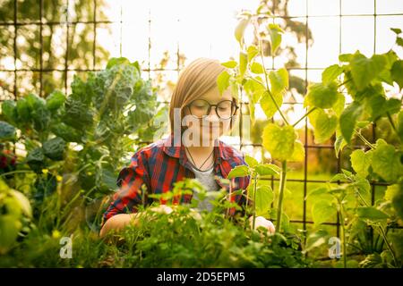 Happy Little Caucasian Junge Pflanzen saisonalen Pflanzen in einem Garten im Freien. Liebe, Familie, Lifestyle, Ernte, Herbstkonzept. Fröhlich, gesund und schön. Bio-Lebensmittel, Landwirtschaft, Gartenarbeit. Stockfoto