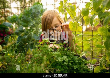 Happy Little Caucasian Junge Pflanzen saisonalen Pflanzen in einem Garten im Freien. Liebe, Familie, Lifestyle, Ernte, Herbstkonzept. Fröhlich, gesund und schön. Bio-Lebensmittel, Landwirtschaft, Gartenarbeit. Stockfoto