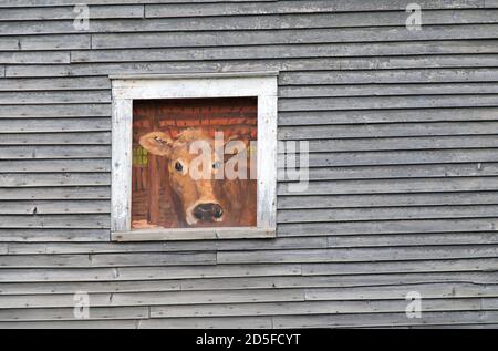 Ein Gemälde auf einem Scheunenfenster einer Kuh, die entlang RT. 65 in Brookfield, Vermont, USA Stockfoto