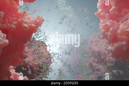 DNA, die genetische Anweisungen trägt, befindet sich im Zellkern, wo sie mit verschiedenen Proteinen in verschiedenen Prozessen interagiert, wie zum Beispiel Replikation. Stockfoto