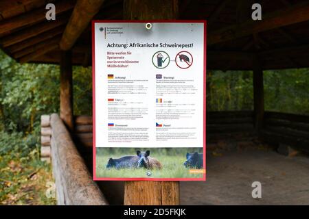 Warnzeichen und Infomationszeichen bezüglich des Afrikanischen Schweinepest-Virus in Mehrere Sprachen im deutschen Wald in Deutschland Stockfoto