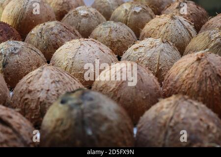 Das sind Kokosnussschalen. Nach dem Sammeln von Kokosnussspread können wir diese Muscheln sehen. Diese Schalen sind bereit für die meisten kreativen handgefertigten Artikel. Stockfoto