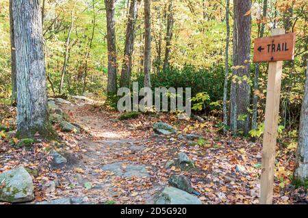 Ein markierter Wanderweg im Wald in Warren County, Pennsylvania, USA an einem Herbsttag Stockfoto