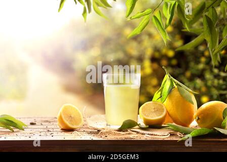 Frisch gepresster Saft auf einem Holztisch voller Zitronen mit Zitronenbäumen im Hintergrund und Sonnenlicht. Vorderansicht. Horizontale Zusammensetzung. Stockfoto