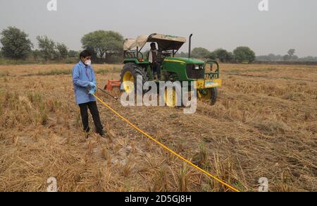 Ein Arbeiter des Indian Agricultural Research Institute (IARI) trägt Maske und Handschuhe Sprays neu entwickelte Bio-Decomposer-Lösung auf einem Bauernhof Feld, um Stoppel (Paraali) Brennen zu verhindern. Bio-Zersetzer wandelt landwirtschaftliche Abfälle in Kompost um. Die Stoppelverbrennung setzt große Mengen an toxischer Verschmutzung in der Luft frei, die schädliche Gase wie Methan (CH4), Kohlenmonoxid (CO) und andere enthalten. Punjab und Haryana Bauern brennen Paddy Stoppeln auf ihren Feldern, um es für die nächste Weizenernte bereit, und die schädlichen Gase sind in Delhi, die National Capital schließen. Stockfoto