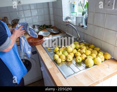 Reinigung Quitte Obst in der Küche Waschbecken im Haus, Großbritannien Stockfoto