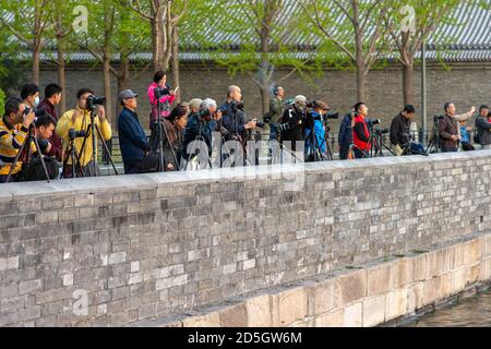 Peking / China - 7. April 2016: Menschen fotografieren den Nordost-Eckturm der Verbotenen Stadt in Peking, China Stockfoto