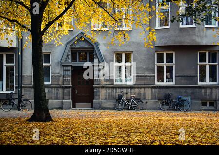 Graue Fassade mit Fahrrädern vor dem Hotel mit vielen goldgelbe Blätter auf dem Boden Stockfoto