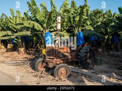 Verlassene Traktor auf einer Bananenplantage, Peyia, Zypern. Stockfoto