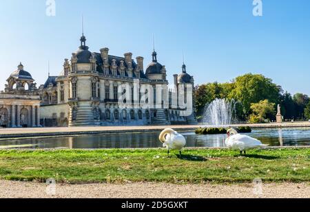 Chateau de Chantilly mit zwei Schwanen im Vordergrund - Frankreich Stockfoto