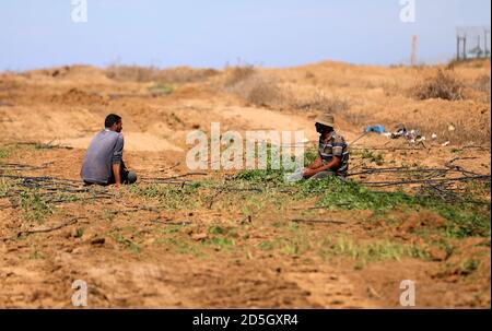Gaza. Oktober 2020. Palästinensische Bauern inspizieren ihre Farm, nachdem die Bulldozer der israelischen Armee Teile davon rollten, östlich von Khan Yunis, an der Grenze zum Süden des Gazastreifens, 13. Oktober 2020. Kredit: Yasser Qudih/Xinhua/Alamy Live Nachrichten Stockfoto