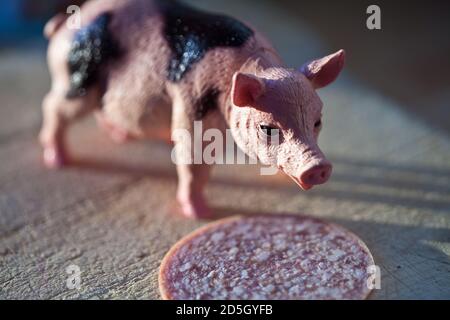 Miniatur-Kunststoff-Schwein mit einem Stück Wurst erschossen Weißer Hintergrund Stockfoto