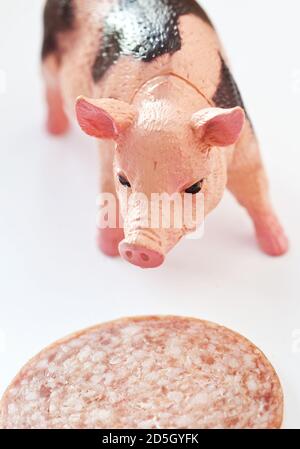 Miniatur-Kunststoff-Schwein mit einem Stück Wurst erschossen Weißer Hintergrund Stockfoto