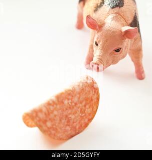 Miniatur-Kunststoff-Schwein mit einem Stück Wurst erschossen Weißer Hintergrund Stockfoto