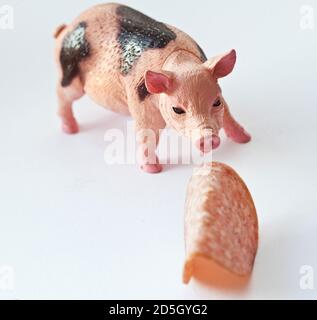 Miniatur-Kunststoff-Schwein mit einem Stück Wurst erschossen Weißer Hintergrund Stockfoto