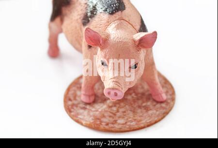 Miniatur-Kunststoff-Schwein mit einem Stück Wurst erschossen Weißer Hintergrund Stockfoto