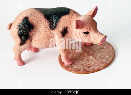 Miniatur-Kunststoff-Schwein mit einem Stück Wurst erschossen Weißer Hintergrund Stockfoto