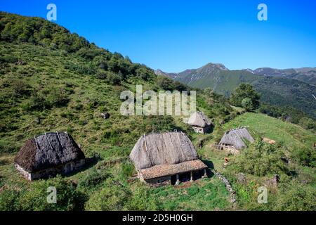 Brañas la Pornacal. Hütten für Tiere mit Strohdach gebaut. Naturpark Somiedo. Asturien. Spanien Stockfoto