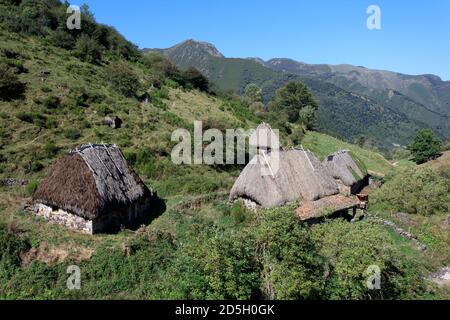 Brañas la Pornacal. Hütten für Tiere mit Strohdach gebaut. Naturpark Somiedo. Asturien. Spanien Stockfoto