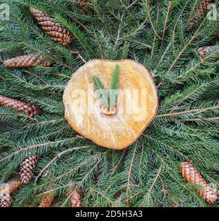 Stilisierte Uhr aus stacheligen grünen Tannenzweigen und Holzschnitt. Happy New Year Saisonale Design-Elemente für festliche Grußkarten, Poster, Ban Stockfoto