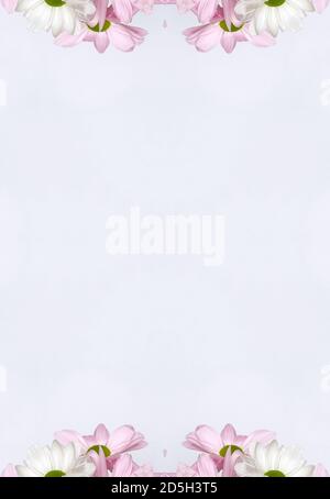 Blumen, visuelle Wirkung eines Spiegels, Raum für Texteingabe, abstrakte Tapete, voller Farben, seltsame Ornamente und Formen, Hintergrund mit schönen Geo Stockfoto