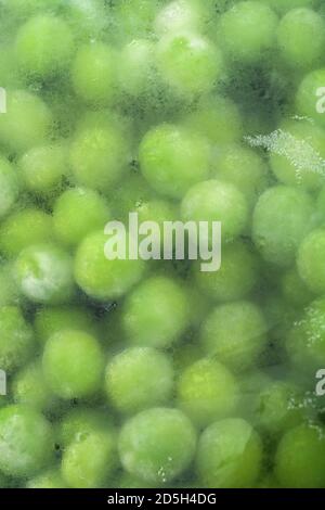 Nahaufnahme eines Plastikbeutels mit gefrorenen grünen Erbsen (Fokus auf Eiskristalle auf dem Beutel). Für Lebensmittelverpackungen aus Kunststoff, Küchenzutaten, grün. Stockfoto