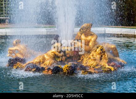 Bacchus-Brunnen (oder Herbstbrunnen) in den Gärten von Chateau de Versailles. Stockfoto