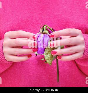 Eine Frau hält eine trockene violette Blume in ihren Händen. Verwelkte Liebe nach einer Beziehung und einer Hochzeit Stockfoto