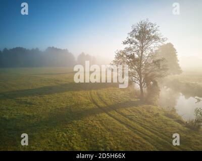Herbst nebliger Sonnenaufgang. Bunte neblige Morgendämmerung. Herbst ländliche Szene. Kleiner Fluss mit den Bäumen in der Wiese und dem Feld, Weißrussland Stockfoto