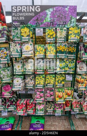 Eine Gartenanlage mit Frühlingsblütenbirnen für die Pflanzung im Herbst. Stockfoto