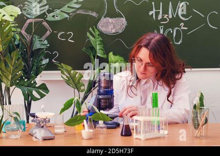 Eine Lehrerin sitzt an ihrem Schreibtisch mit einem Mikroskop in den Händen. Chemieunterricht in einer Schulklasse. Stockfoto