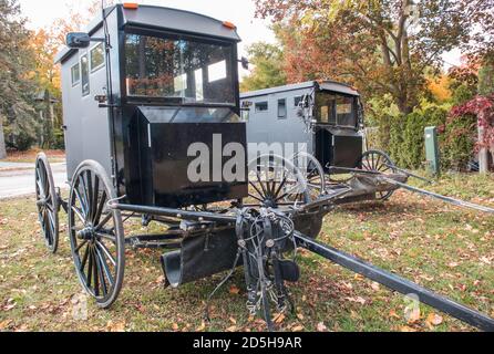 Mennonite Pferdekutschen, Elora, Ontario. Vorderansicht. Stockfoto