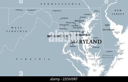 Maryland, MD, graue politische Landkarte. Staat in Mid-Atlantic Region der Vereinigten Staaten von Amerika. Hauptstadt Annapolis. Alter Linienzustand. Freier Status. Stockfoto